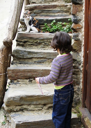 En Robledillo de Gata no faltan los gatos En Robledillo de Gata no faltan los gatos